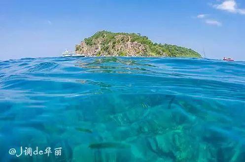 中国战斗力最强的直升机是什么？