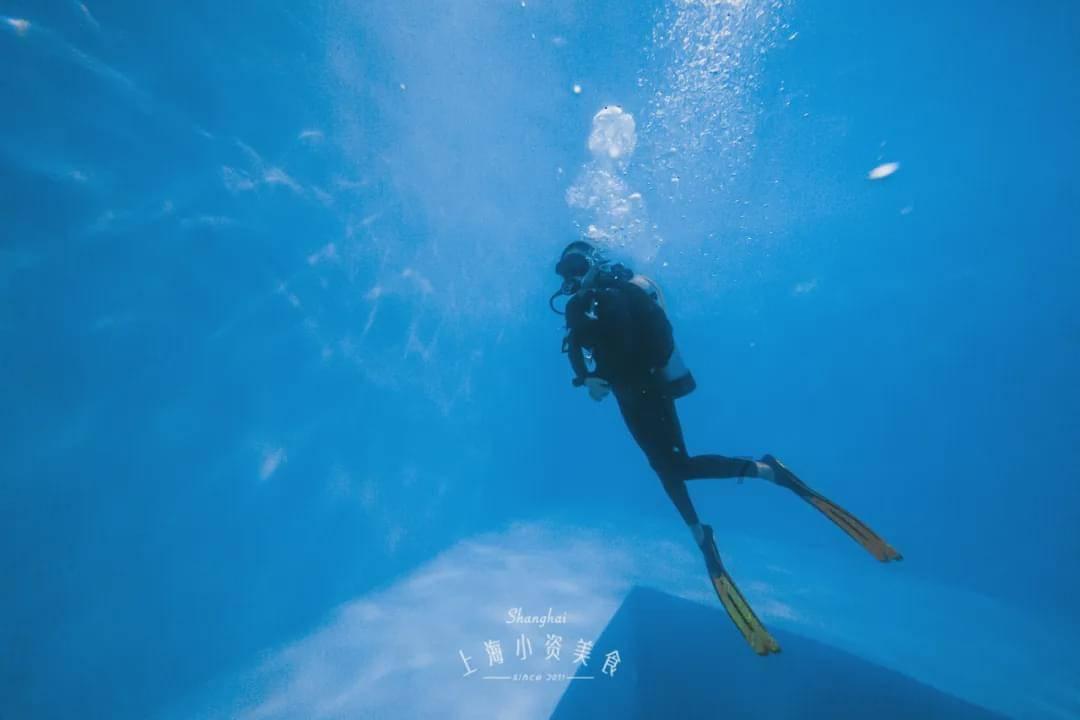 拯救巧虎2